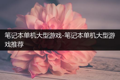 笔记本单机大型游戏-笔记本单机大型游戏推荐