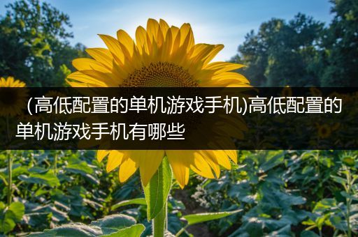 （高低配置的单机游戏手机)高低配置的单机游戏手机有哪些