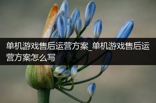 单机游戏售后运营方案_单机游戏售后运营方案怎么写