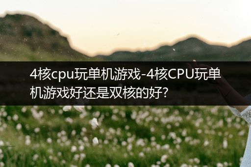 4核cpu玩单机游戏-4核CPU玩单机游戏好还是双核的好?
