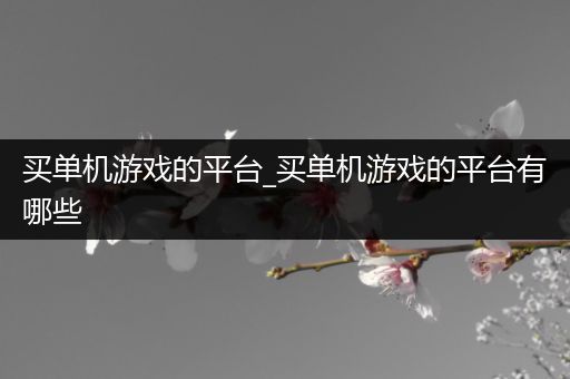 买单机游戏的平台_买单机游戏的平台有哪些