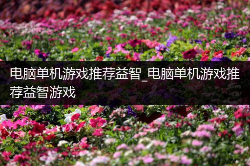 电脑单机游戏推荐益智_电脑单机游戏推荐益智游戏