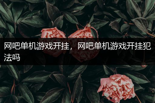 网吧单机游戏开挂，网吧单机游戏开挂犯法吗