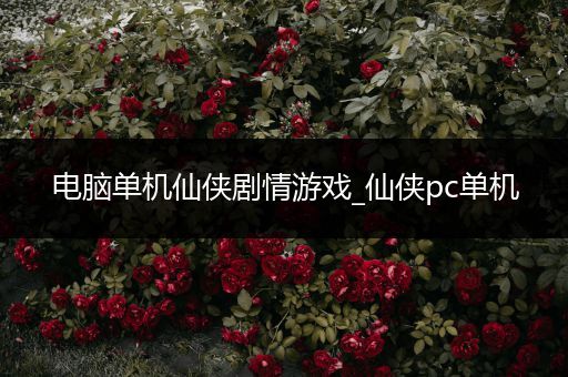 电脑单机仙侠剧情游戏_仙侠pc单机