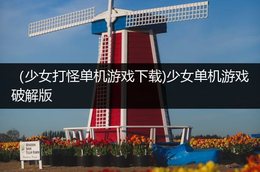 （少女打怪单机游戏下载)少女单机游戏破解版