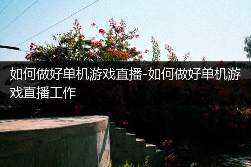 如何做好单机游戏直播-如何做好单机游戏直播工作