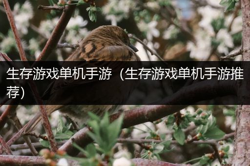 生存游戏单机手游（生存游戏单机手游推荐）