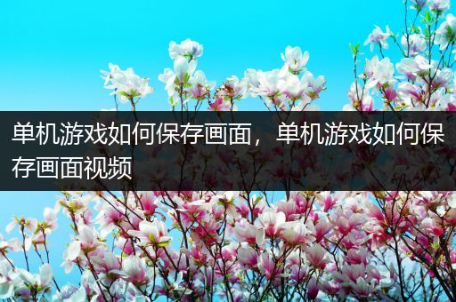 单机游戏如何保存画面，单机游戏如何保存画面视频