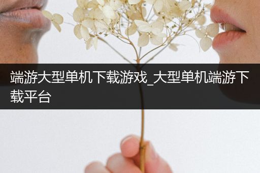 端游大型单机下载游戏_大型单机端游下载平台