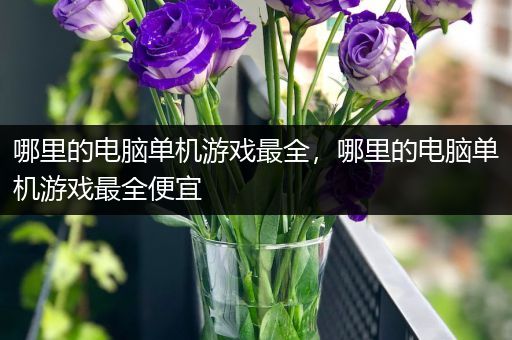 哪里的电脑单机游戏最全，哪里的电脑单机游戏最全便宜