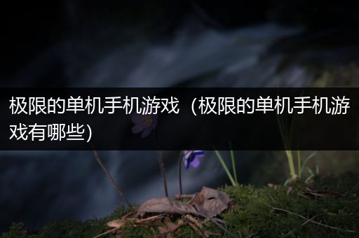 极限的单机手机游戏（极限的单机手机游戏有哪些）