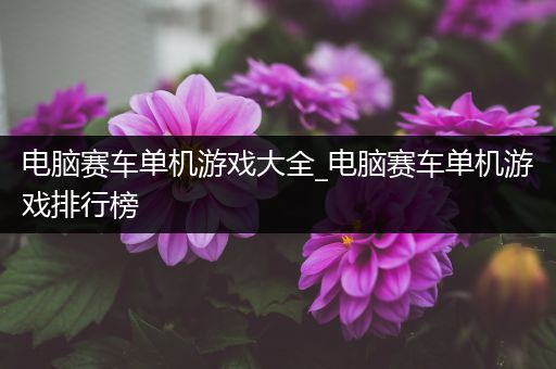 电脑赛车单机游戏大全_电脑赛车单机游戏排行榜