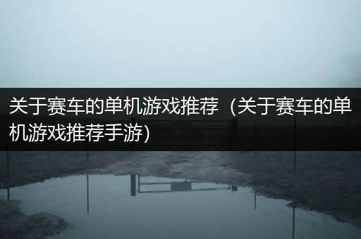 关于赛车的单机游戏推荐（关于赛车的单机游戏推荐手游）