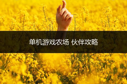 单机游戏农场 伙伴攻略