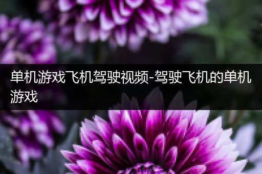 单机游戏飞机驾驶视频-驾驶飞机的单机游戏
