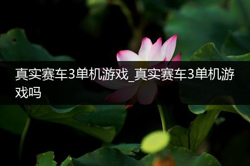 真实赛车3单机游戏_真实赛车3单机游戏吗
