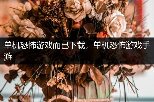 单机恐怖游戏而已下载，单机恐怖游戏手游