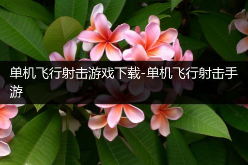 单机飞行射击游戏下载-单机飞行射击手游