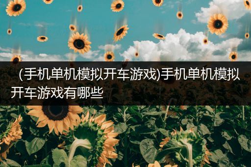 （手机单机模拟开车游戏)手机单机模拟开车游戏有哪些