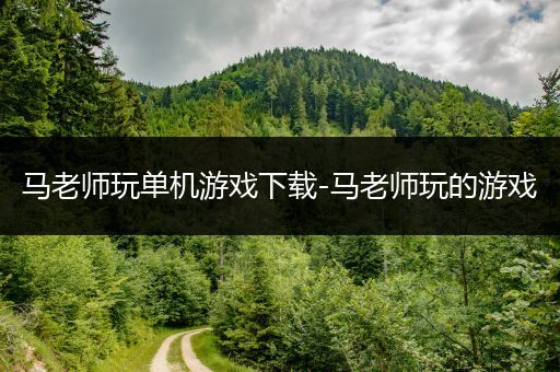 马老师玩单机游戏下载-马老师玩的游戏