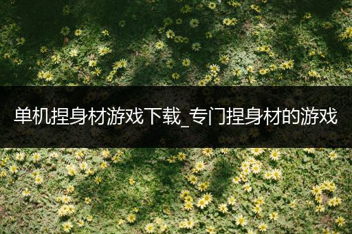 单机捏身材游戏下载_专门捏身材的游戏