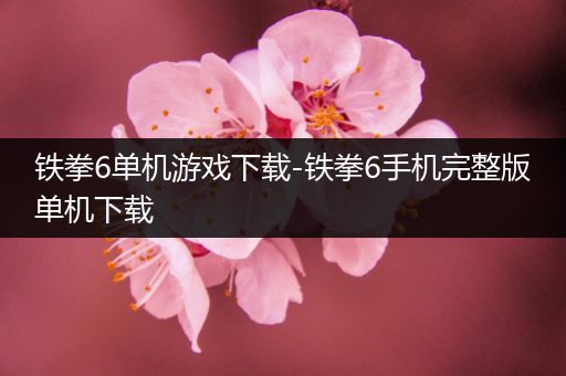 铁拳6单机游戏下载-铁拳6手机完整版单机下载