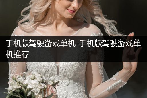 手机版驾驶游戏单机-手机版驾驶游戏单机推荐