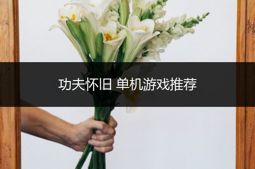 功夫怀旧 单机游戏推荐