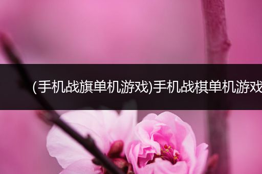 （手机战旗单机游戏)手机战棋单机游戏