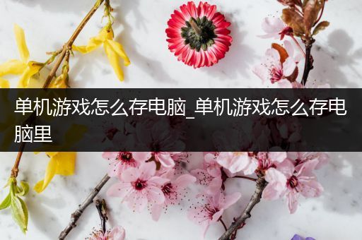 单机游戏怎么存电脑_单机游戏怎么存电脑里