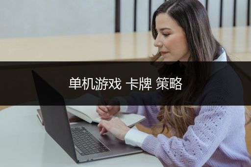 单机游戏 卡牌 策略