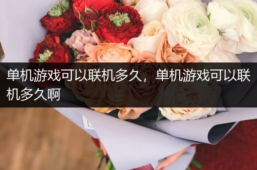 单机游戏可以联机多久，单机游戏可以联机多久啊