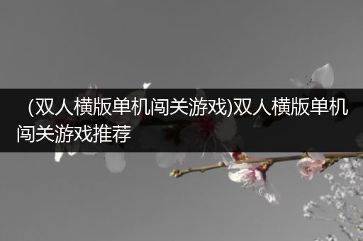 （双人横版单机闯关游戏)双人横版单机闯关游戏推荐