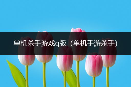 单机杀手游戏q版（单机手游杀手）