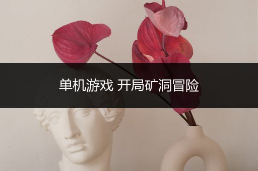 单机游戏 开局矿洞冒险