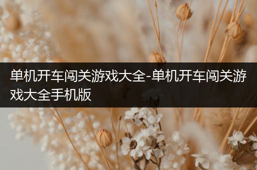 单机开车闯关游戏大全-单机开车闯关游戏大全手机版