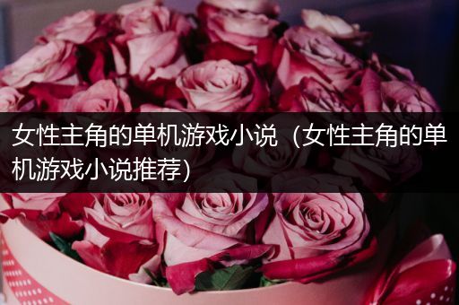女性主角的单机游戏小说（女性主角的单机游戏小说推荐）