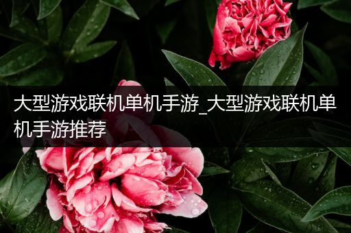 大型游戏联机单机手游_大型游戏联机单机手游推荐