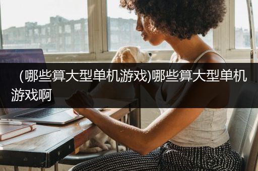 （哪些算大型单机游戏)哪些算大型单机游戏啊