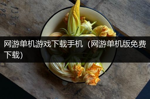 网游单机游戏下载手机（网游单机版免费下载）
