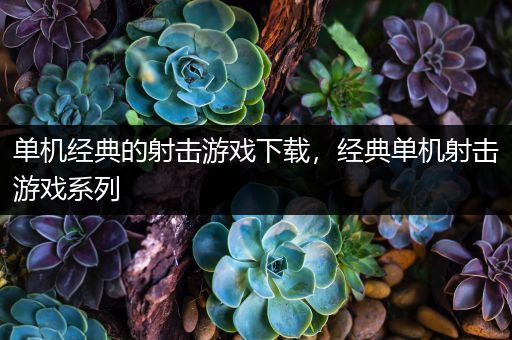 单机经典的射击游戏下载，经典单机射击游戏系列