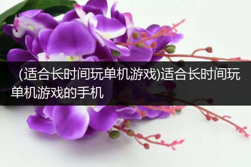 （适合长时间玩单机游戏)适合长时间玩单机游戏的手机