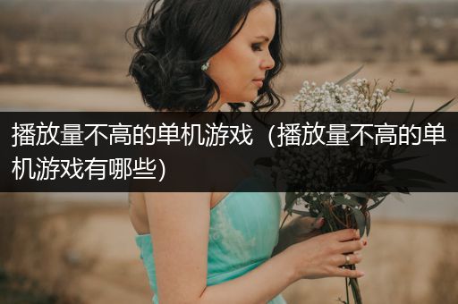 播放量不高的单机游戏（播放量不高的单机游戏有哪些）