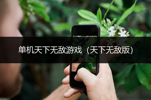 单机天下无敌游戏（天下无敌版）