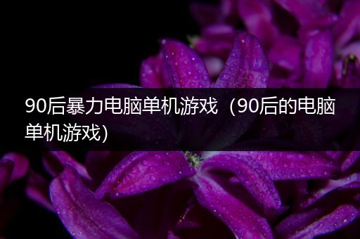 90后暴力电脑单机游戏（90后的电脑单机游戏）