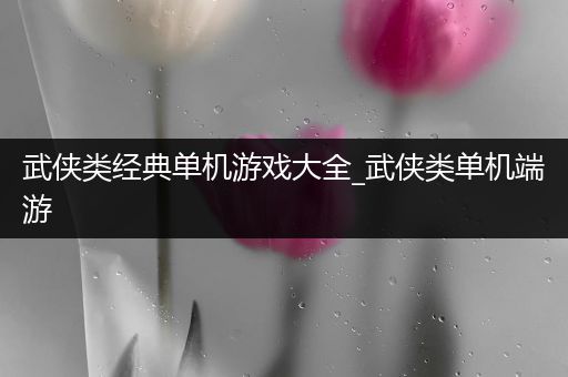 武侠类经典单机游戏大全_武侠类单机端游