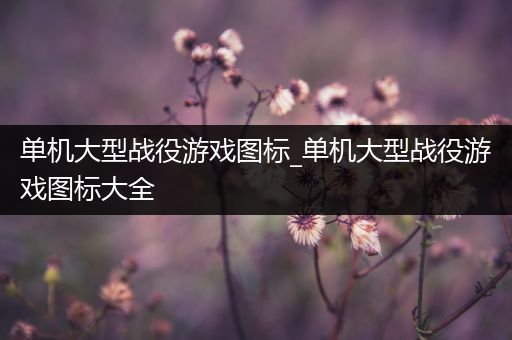 单机大型战役游戏图标_单机大型战役游戏图标大全