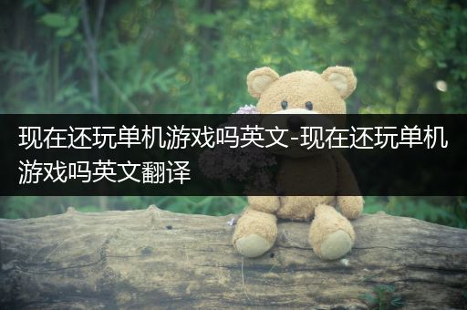 现在还玩单机游戏吗英文-现在还玩单机游戏吗英文翻译