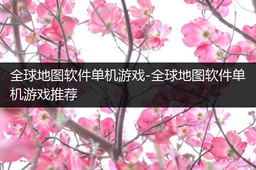 全球地图软件单机游戏-全球地图软件单机游戏推荐