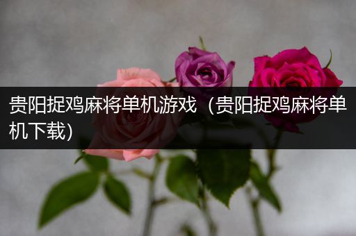 贵阳捉鸡麻将单机游戏（贵阳捉鸡麻将单机下载）